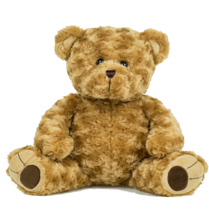 Archie the Twist Bear